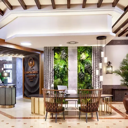Отель Gran Tacande Wellness & Relax Адехе